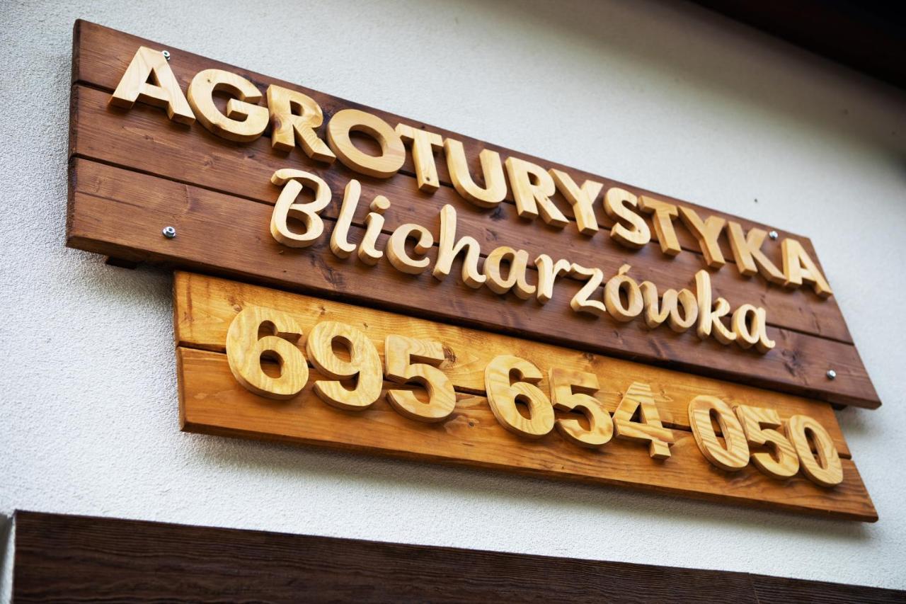 Agroturystyka Blicharzowka Noclegi Bukowka 外观 照片